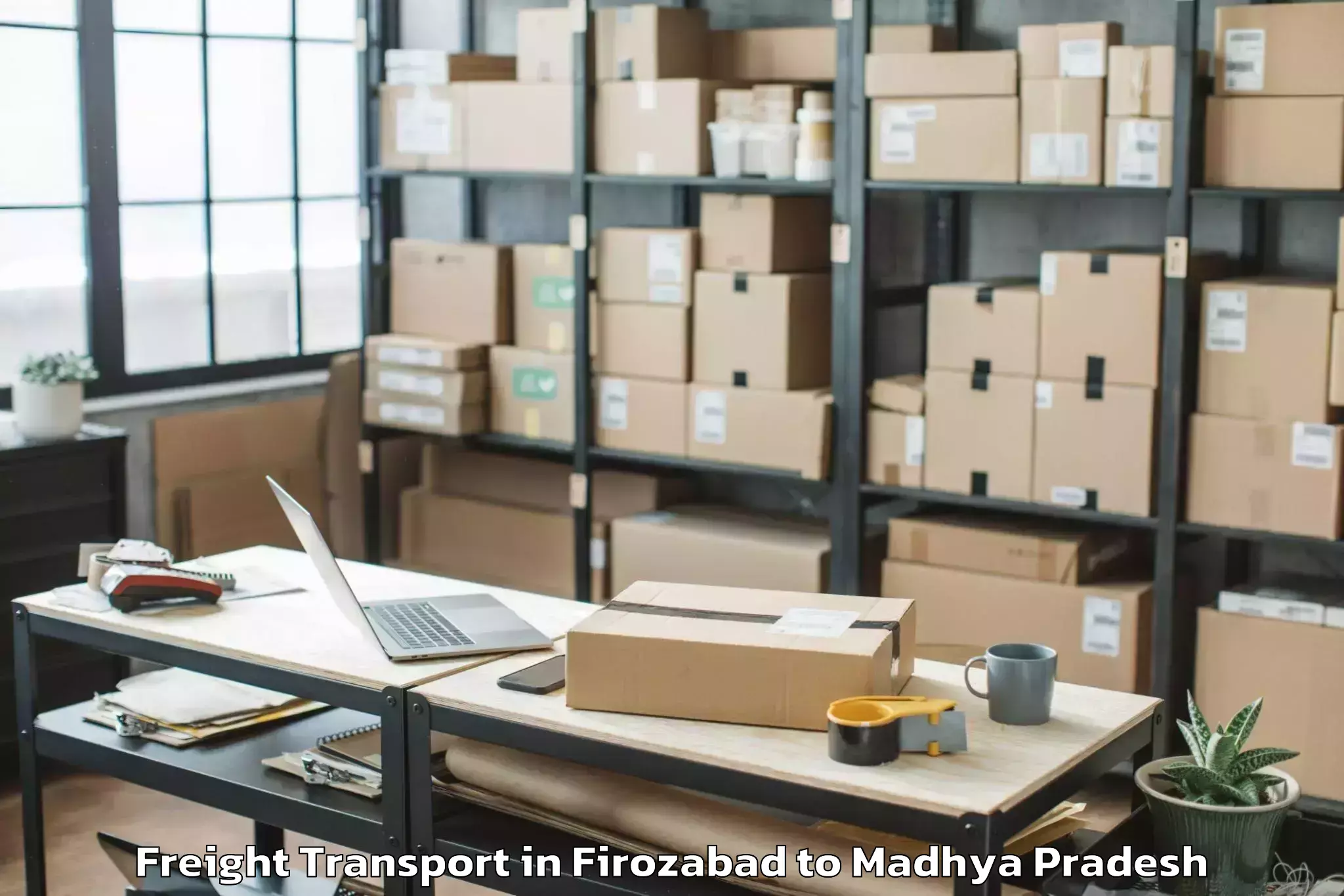 Affordable Firozabad to Damoh Freight Transport